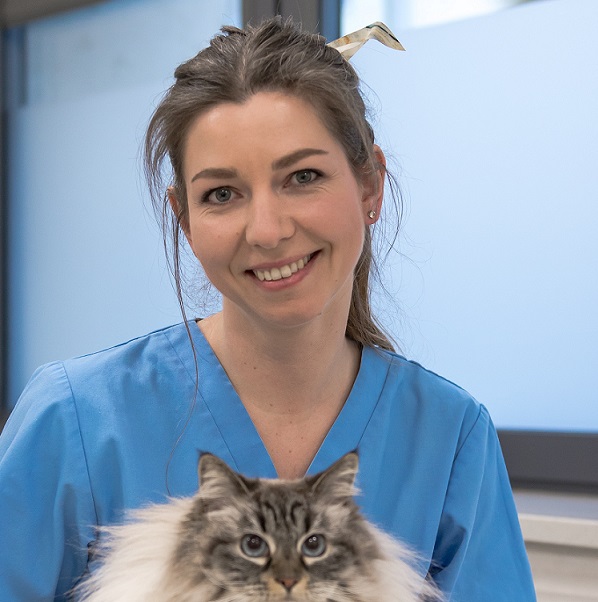 - Specjalistyczne Centrum Weterynaryjne