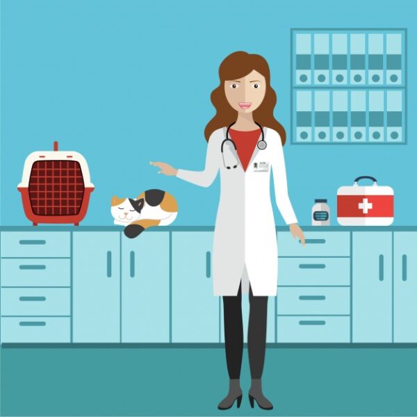 Strona główna - SpecjalistyczneCentrumWeterynaryjne